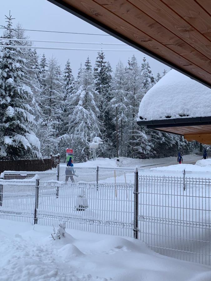 Punkt Koscielisko, Dom Gorski 800 M Od Doliny Koscieliskiej Exterior foto