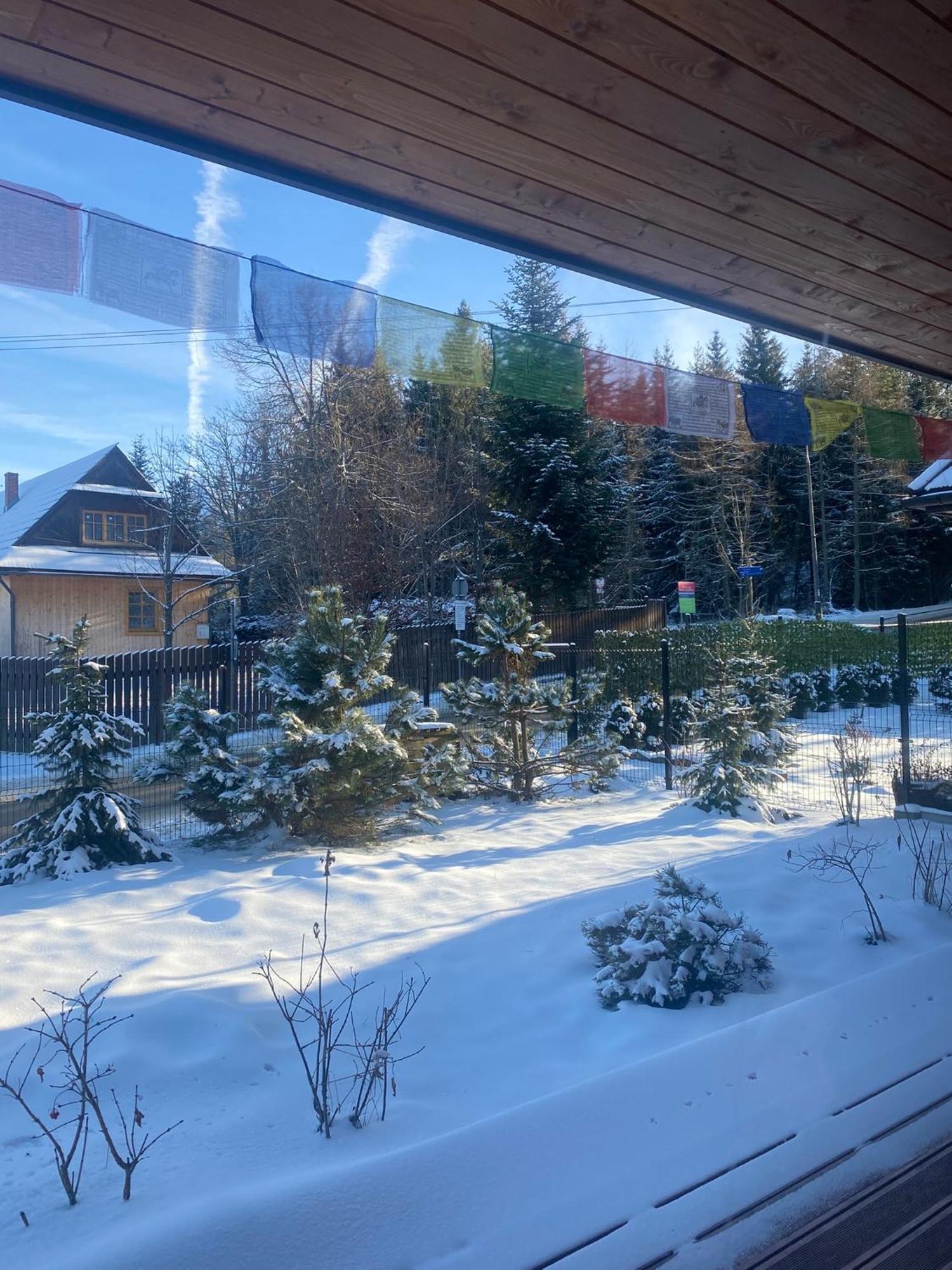 Punkt Koscielisko, Dom Gorski 800 M Od Doliny Koscieliskiej Exterior foto